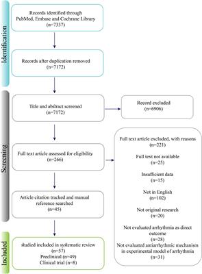 Mechanism-based targeting of cardiac arrhythmias by phytochemicals and medicinal herbs: A comprehensive review of preclinical and clinical evidence